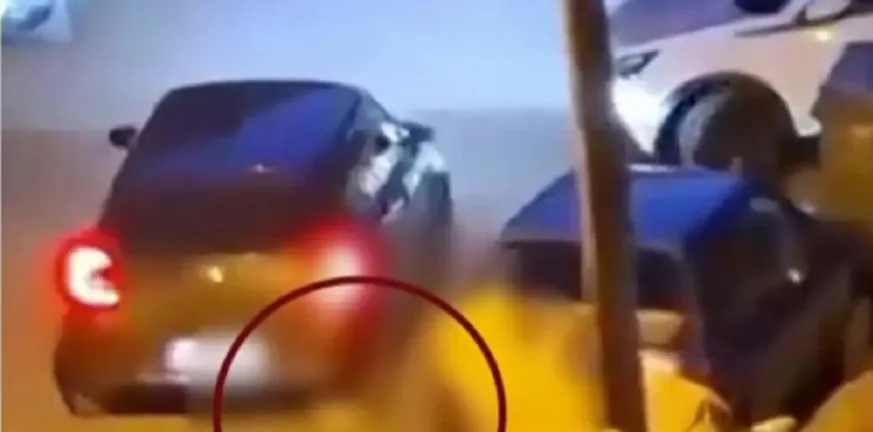 Ελεύθερος με όρους ο 34χρονος που θανάτωσε γατάκι στην Καλαμαριά – Κακουργηματική η δίωξη Ελεύθερος με όρους ο 34χρονος που θανάτωσε γατάκι στην Καλαμαριά – Κακουργηματική η δίωξη