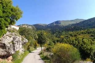 Πολιτιστικός Σύλλογος Χρυσοπηγής «Σποδιάνα»: Εκλογές για την ανάδειξη νέας διοίξησης
