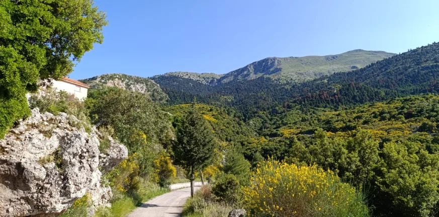 Πολιτιστικός Σύλλογος Χρυσοπηγής «Σποδιάνα»: Εκλογές για την ανάδειξη νέας διοίξησης Πολιτιστικός Σύλλογος Χρυσοπηγής «Σποδιάνα»: Εκλογές για την ανάδειξη νέας διοίξησης