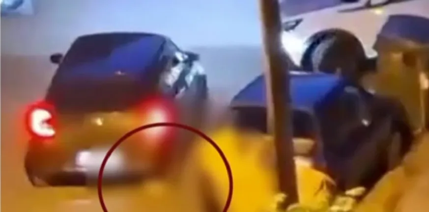 Όταν σκοτώνεις μια γάτα, σκοτώνεις κάτι πολύ πιο μεγάλο Όταν σκοτώνεις μια γάτα, σκοτώνεις κάτι πολύ πιο μεγάλο