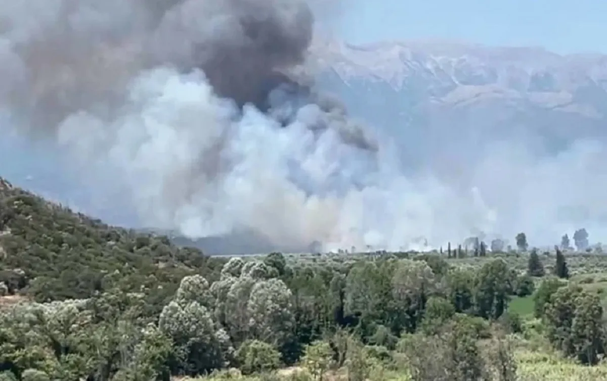 Συναγερμός στο Λευκόχωμα Λακωνίας – Φωτιά σε εξέλιξη, μήνυμα από το 112