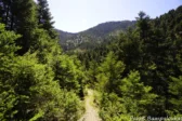 Ταΰγετος και Μαίναλο: Τα πραγματικά καταφύγια από τον καύσωνα για καλοκαιρινές αποδράσεις! ΦΩΤΟ