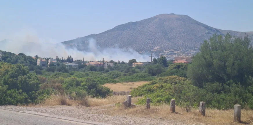 Φωτιά στην Ανάβυσσο: Πολύ κοντά σε σπίτια οι φλόγες - Εντολή εκκένωσης της Παλαιάς Φώκαιας Φωτιά στην Ανάβυσσο: Πολύ κοντά σε σπίτια οι φλόγες - Εντολή εκκένωσης της Παλαιάς Φώκαιας