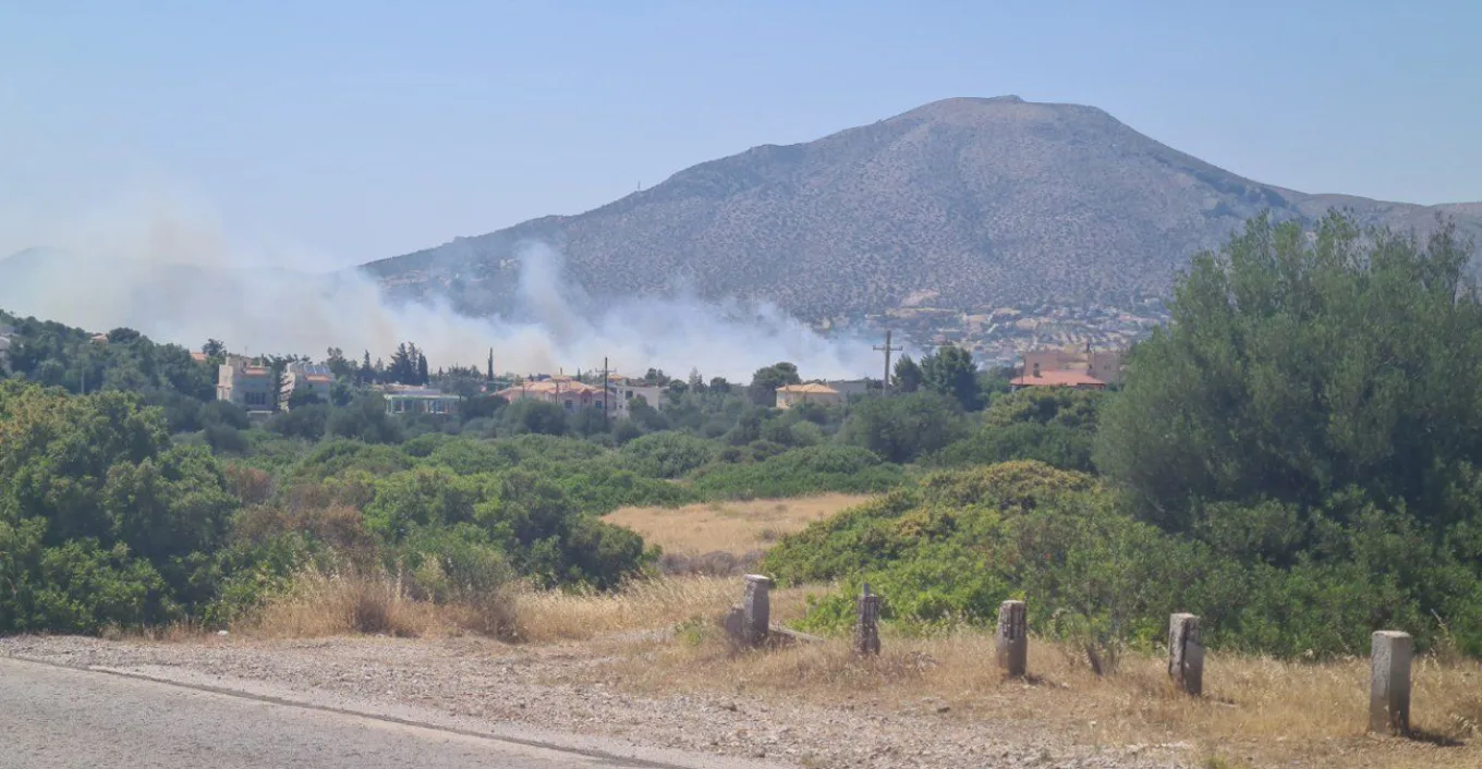 Φωτιά στη Φωκίδα: Οι πυροσβέστες τα κατάφεραν και οριοθέτησαν τις φλόγες