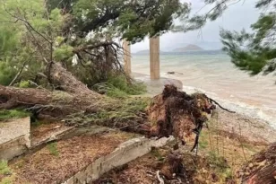 Στα Μέγαρα τους «πήρε και τους σήκωσε»! Μέχρι και δένδρα ξερίζωσε η κακοκαιρία ΒΙΝΤΕΟ, ΦΩΤΟ