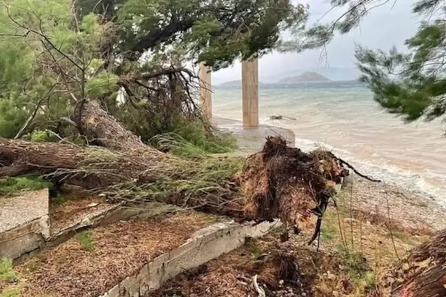 Στα Μέγαρα τους «πήρε και τους σήκωσε»! Μέχρι και δένδρα ξερίζωσε η κακοκαιρία ΒΙΝΤΕΟ, ΦΩΤΟ