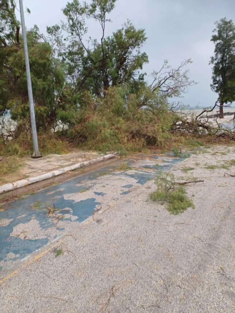 Στα Μέγαρα τους «πήρε και τους σήκωσε»! Μέχρι και δένδρα ξερίζωσε η κακοκαιρία ΒΙΝΤΕΟ, ΦΩΤΟ