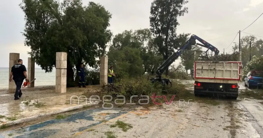 Στα Μέγαρα τους «πήρε και τους σήκωσε»! Μέχρι και δένδρα ξερίζωσε η κακοκαιρία ΒΙΝΤΕΟ, ΦΩΤΟ