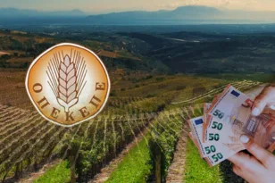 Γιώργος Μπέσκος κατά Μαρινάκη: «Ποιοι ωφελήθηκαν; Ποιοι τα τσέπωσαν;»