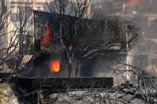 Καταγγελίες που καίνε για το Θυμάρι: Πολίτης είχε προειδοποιήσει, βίντεο δείχνει την εστία, σιωπηλός ο Δήμος