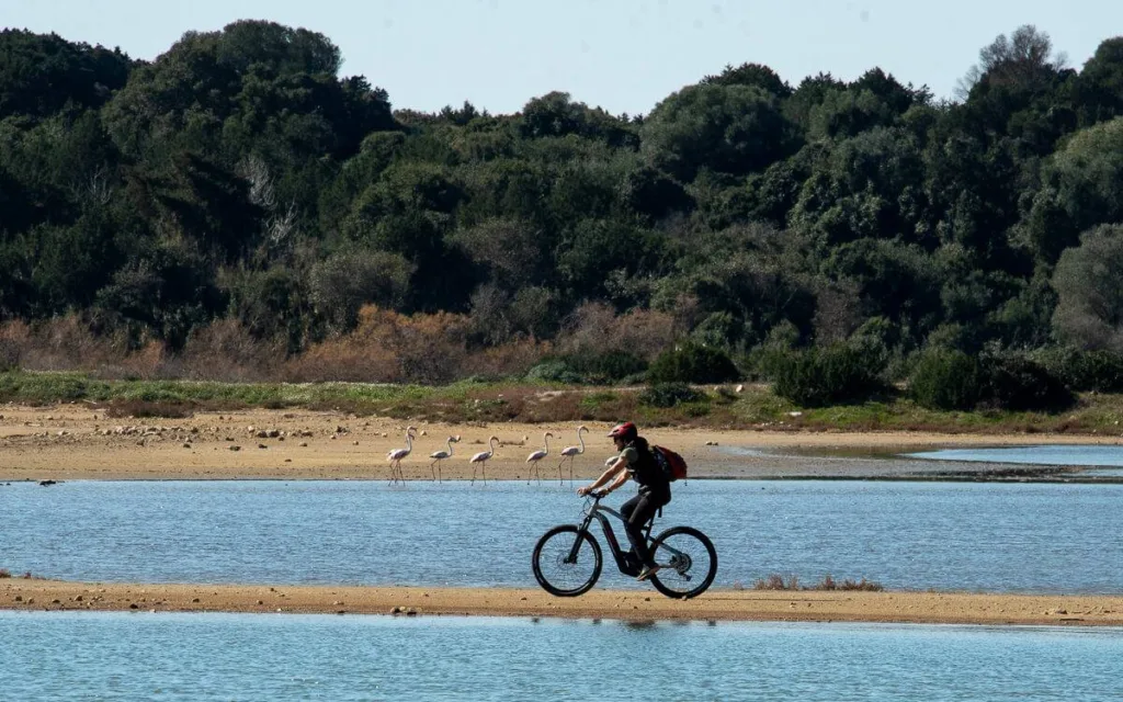 Καλοκαίρι στην Πελοπόννησο: Οι πιο δροσερές προτάσεις για νέους, beach bars και δραστηριότητες για όλα τα γούστα