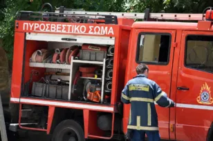 Πυρκαγιά στον οικισμό Κοκκίνα στα όρια Μαγνησίας-Λάρισας