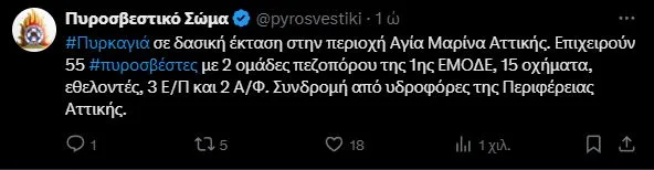 Οριοθετήθηκε η φωτιά στο Γραμματικό – Αναστάτωση από λάθος μήνυμα του 112