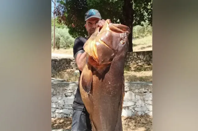 «Δεν περιγράφεται αυτό που έζησα», ψάρεψε ροφό μεγαλύτερο από το μπόι του!
