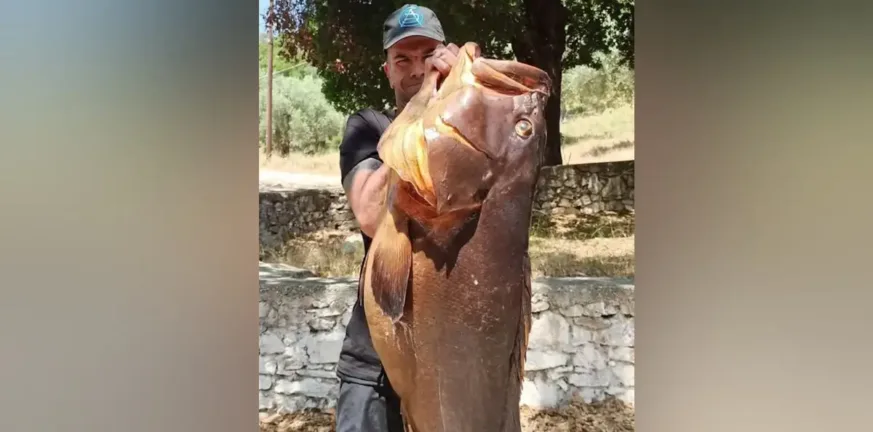 «Δεν περιγράφεται αυτό που έζησα», ψάρεψε ροφό μεγαλύτερο από το μπόι του! «Δεν περιγράφεται αυτό που έζησα», ψάρεψε ροφό μεγαλύτερο από το μπόι του!