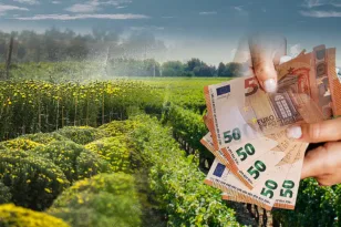Ονόματα και…διευθύνσεις από δικογραφία του ΟΠΕΚΕΠΕ από την Ευρωπαϊκή Εισαγγελία-Τι ανακοινώθηκε στη Βουλή