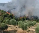 Φωτιά στις Βελιτσές: Τώρα βρίσκεται σε ύφεση