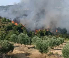 Φωτιά στις Βελιτσές: Τώρα βρίσκεται σε ύφεση