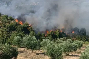 Φωτιά στις Βελιτσές: Τώρα βρίσκεται σε ύφεση