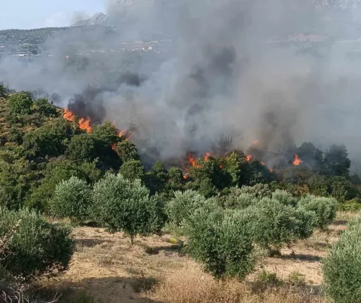 Φωτιά στις Βελιτσές: Τώρα βρίσκεται σε ύφεση