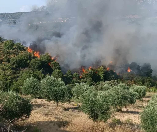 Φωτιά στις Βελιτσές: Τώρα βρίσκεται σε ύφεση Φωτιά στις Βελιτσές: Τώρα βρίσκεται σε ύφεση