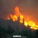 Φλόγες απειλούν σπίτια στη Χίο: Ολονύκτια μάχη, ενισχύονται οι πυροσβεστικές δυνάμεις ΦΩΤΟ
