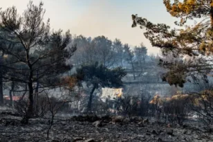 Χίος στις φλόγες για τρίτο 24ωρο: Μάχη με τα πύρινα μέτωπα, υπόνοιες εμπρησμού και φόβοι για τα Μαστιχοχώρια
