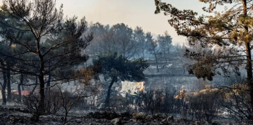 Χίος στις φλόγες για τρίτο 24ωρο: Μάχη με τα πύρινα μέτωπα, υπόνοιες εμπρησμού και φόβοι για τα Μαστιχοχώρια Χίος στις φλόγες για τρίτο 24ωρο: Μάχη με τα πύρινα μέτωπα, υπόνοιες εμπρησμού και φόβοι για τα Μαστιχοχώρια