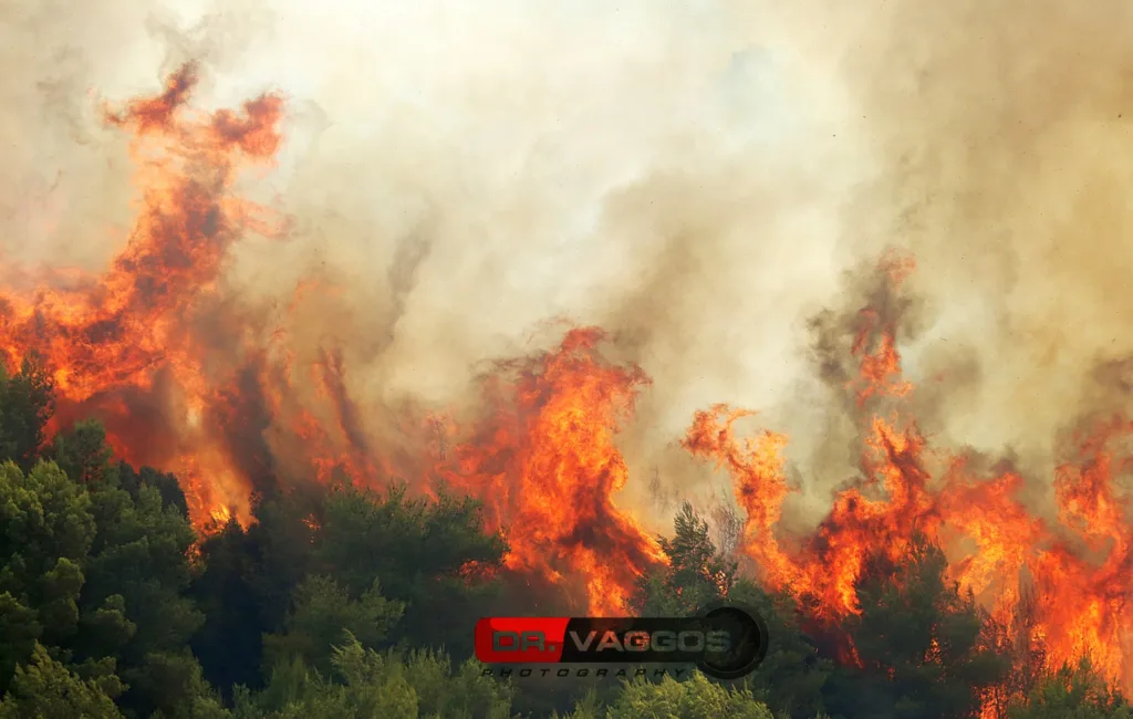 Δείτε τη μεγάλη καταστροφή στην πύρινη λαίλαπα στα Αστεραίικα Αμαλιάδας, από το φακό του γιατρού Βαγγέλη Δημητρόπουλου