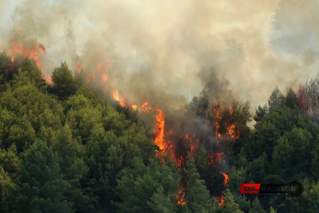 Δείτε τη μεγάλη καταστροφή στην πύρινη λαίλαπα στα Αστεραίικα Αμαλιάδας, από το φακό του γιατρού Βαγγέλη Δημητρόπουλου