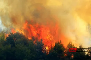 Αμαλιάδα: Εξαπλώνεται η φωτιά σε Γεράκι και Αστεραίικα, δίνουν μάχη 7 εναέρια μέσα
