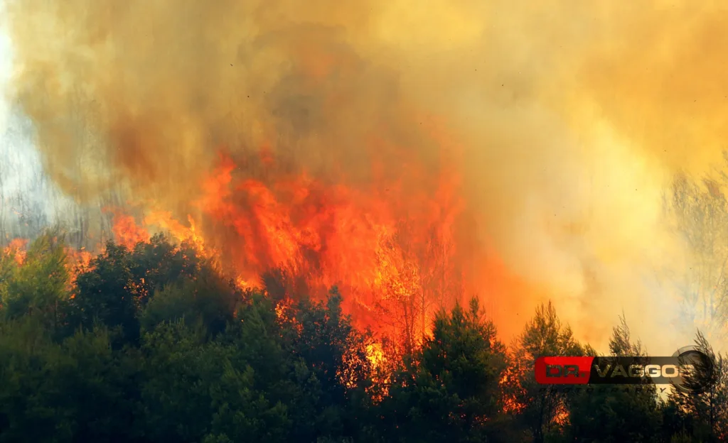 Δείτε τη μεγάλη καταστροφή στην πύρινη λαίλαπα στα Αστεραίικα Αμαλιάδας, από το φακό του γιατρού Βαγγέλη Δημητρόπουλου