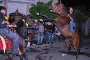 Σοκ σε πανηγύρι στη Λέσβο: Από τη σέλα του αλόγου του, στο Νοσοκομείο με βαριές κακώσεις στο κεφάλι ΦΩΤΟΓΡΑΦΙΕΣ