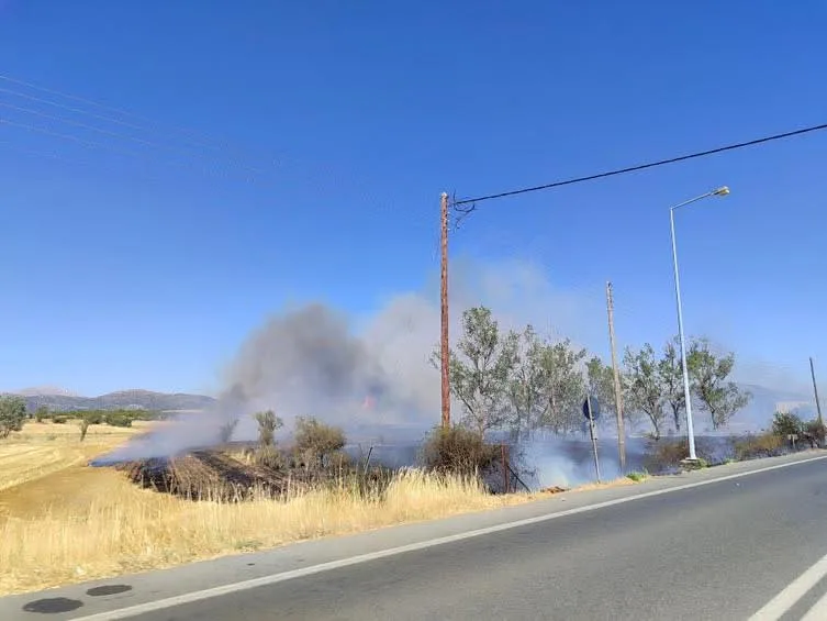Φωτιά και 112 στον Άγιο Σώστη Τρίπολης ΦΩΤΟ