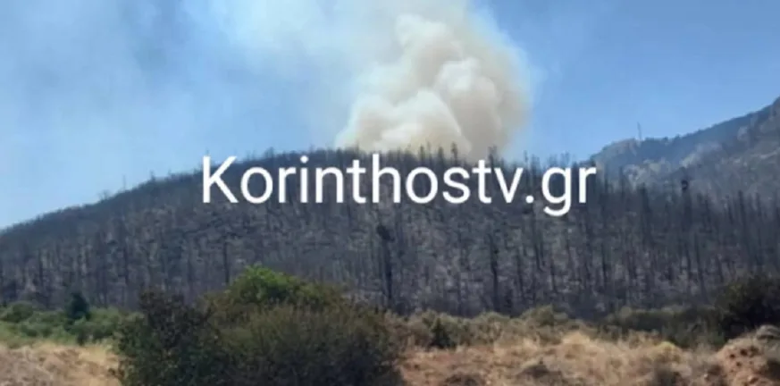 Ορεινή Κορινθία: Νέα μεγάλη αναζωπύρωση στον Φενεό - Ισχυρές δυνάμεις στην περιοχή ΒΙΝΤΕΟ Ορεινή Κορινθία: Νέα μεγάλη αναζωπύρωση στον Φενεό - Ισχυρές δυνάμεις στην περιοχή ΒΙΝΤΕΟ