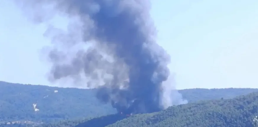 Φωτιά στη Χαλκιδική: Μήνυμα από το 112 για απομάκρυνση προς Νικήτη ΒΙΝΤΕΟ