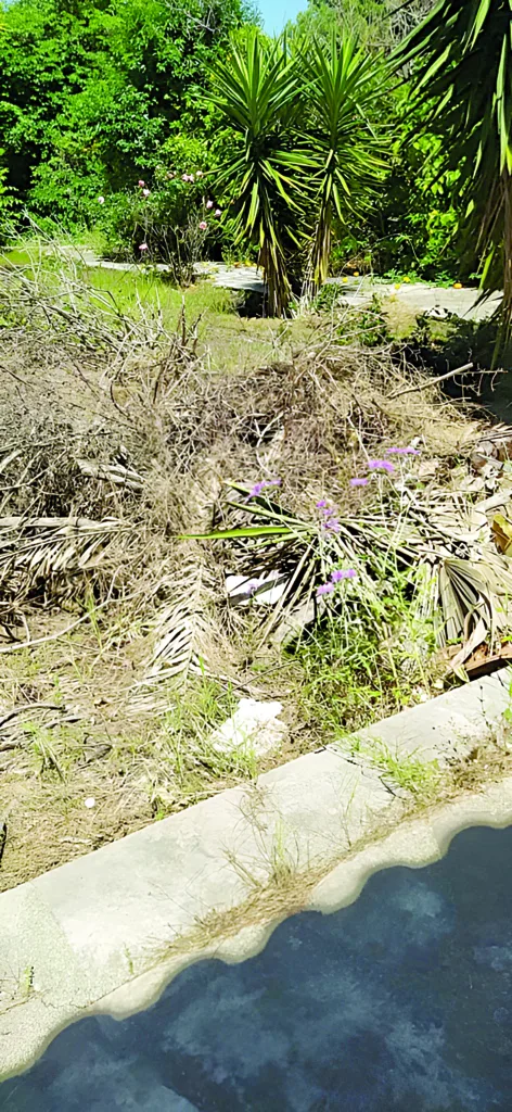 Λακκόπετρα: «Να μη γίνουμε Γηροκομειό!» - Καταγγελίες για ακαθάριστα οικόπεδα ΦΩΤΟ