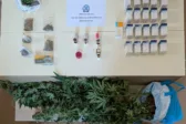 Ξηρόμερο: Συνελήφθη ζευγάρι για διακίνηση ναρκωτικών με «σαλόνι» καλλιέργειας στο σπίτι ΦΩΤΟ