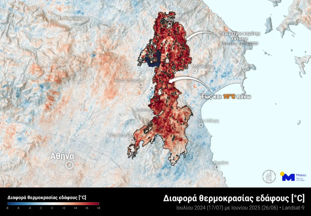 Meteo: Μέχρι και 10°C υψηλότερες θερμοκρασίες έναν χρόνο μετά από πυρκαγιές σε περιοχές