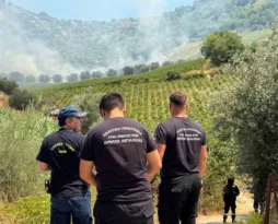 Φωτιά στις Νεραντζιές Αιγίου: Η Πυροσβεστική έλεγξε την κατάσταση - Παραμένουν δυνάμεις ΦΩΤΟ