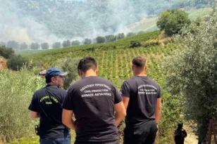 Φωτιά στις Νεραντζιές Αιγίου: Η Πυροσβεστική έλεγξε την κατάσταση – Παραμένουν δυνάμεις ΦΩΤΟ