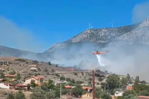 Φωτιά στην Βοιωτία: Μήνυμα από το 112 για εκκένωση της Αλυκής