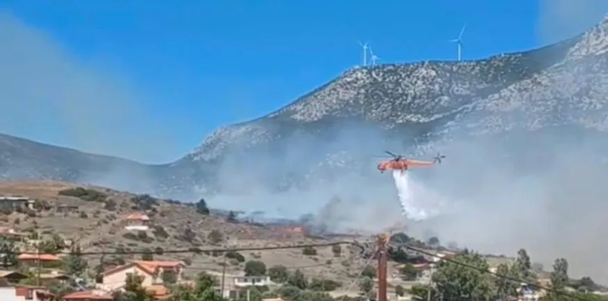 Φωτιά στην Βοιωτία: Μήνυμα από το 112 για εκκένωση της Αλυκής Φωτιά στην Βοιωτία: Μήνυμα από το 112 για εκκένωση της Αλυκής