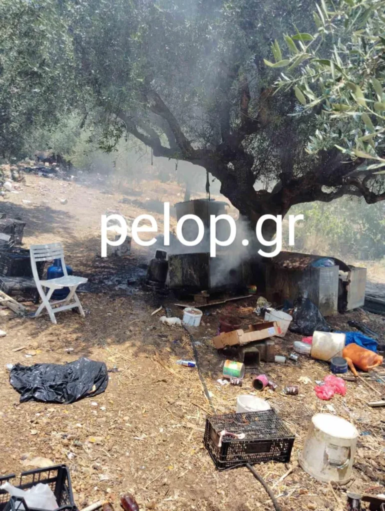 Πάτρα: Η φωτιά, οι κότες και η παρ' ολίγον έκρηξη στην Αρόη ΦΩΤΟ ΝΤΟΚΟΥΜΕΝΤΟ