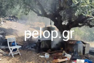 Πάτρα: Η φωτιά, οι κότες και η παρ’ ολίγον έκρηξη στην Αρόη ΦΩΤΟ ΝΤΟΚΟΥΜΕΝΤΟ