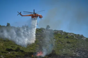 Υπό μερικό έλεγχο η πυρκαγιά στο Λάχι Λακωνίας