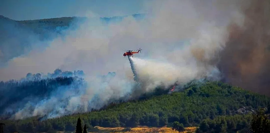 Εύβοια: Στις φλόγες τα Μεσοχώρια, μήνυμα 112 - Μεγάλη κινητοποίηση της Πυροσβεστικής Εύβοια: Στις φλόγες τα Μεσοχώρια, μήνυμα 112 - Μεγάλη κινητοποίηση της Πυροσβεστικής