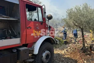 Φθιώτιδα: Οριοθετήθηκε η φωτιά στη Λάρυμνα ΦΩΤΟ