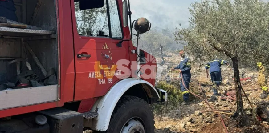Φθιώτιδα: Οριοθετήθηκε η φωτιά στη Λάρυμνα ΦΩΤΟ