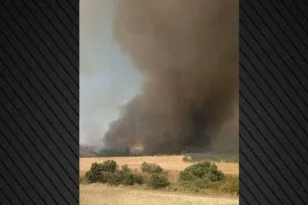 Κιλκίς: Χωρίς ενεργό μέτωπο η φωτιά - Μάχη με πολλές διάσπαρτες εστίες